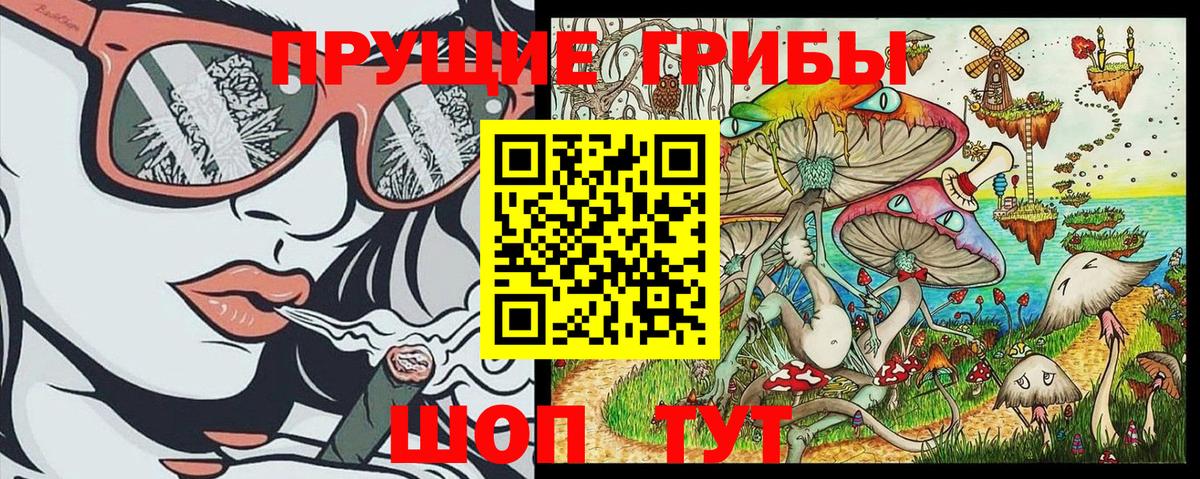 Псилоцибиновые грибы Cubensis Озёры
